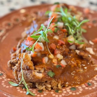 Chicken Japanese Curry Mole